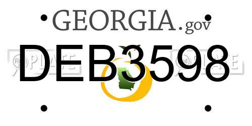 DEB3598 Georgia License Plate