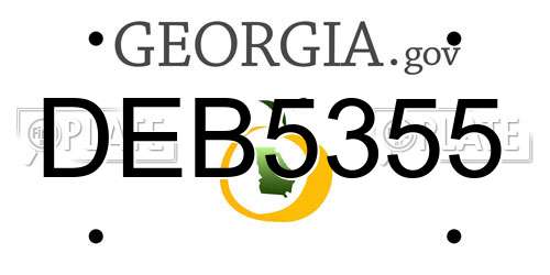 DEB5355 Georgia License Plate