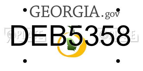 DEB5358 Georgia License Plate
