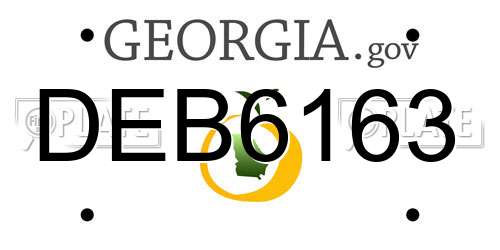 DEB6163 Georgia License Plate
