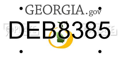 DEB8385 Georgia License Plate