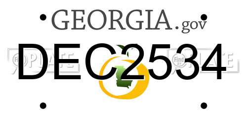 DEC2534 Georgia License Plate