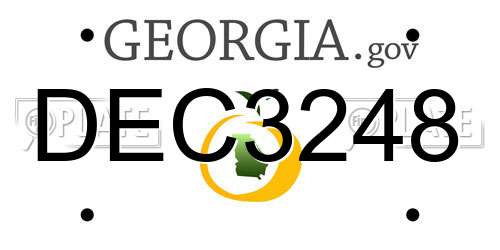 DEC3248 Georgia License Plate