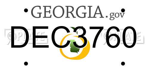 DEC3760 Georgia License Plate