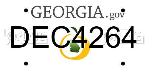 DEC4264 Georgia License Plate