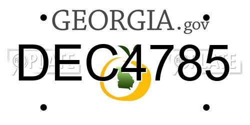 DEC4785 Georgia License Plate