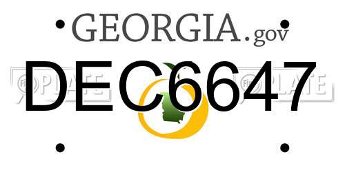 DEC6647 Georgia License Plate