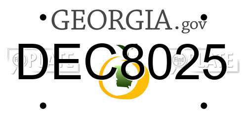 DEC8025 Georgia License Plate