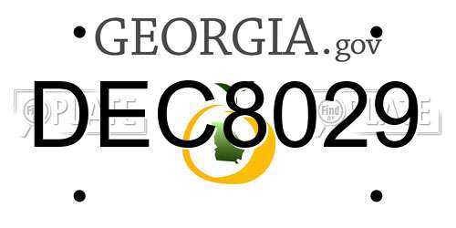 DEC8029 Georgia License Plate