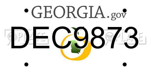 DEC9873 Georgia License Plate