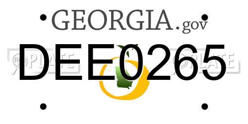 DEE0265 Georgia License Plate