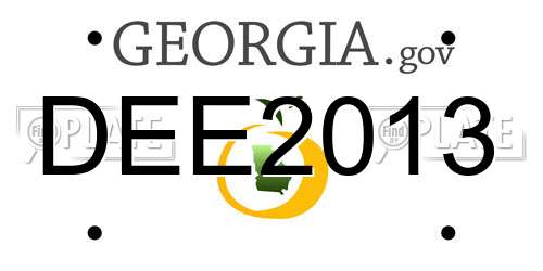 DEE2013 Georgia License Plate