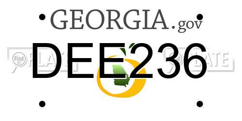 DEE236 Georgia License Plate