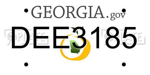 DEE3185 Georgia License Plate