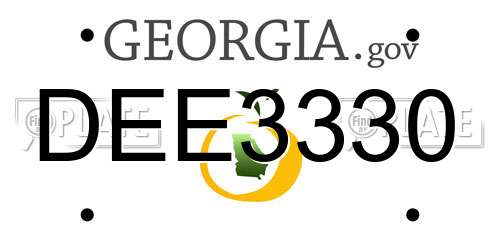 DEE3330 Georgia License Plate