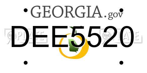 DEE5520 Georgia License Plate