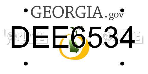DEE6534 Georgia License Plate