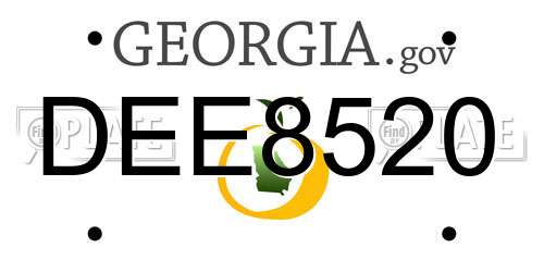 DEE8520 Georgia License Plate