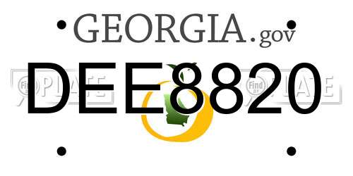 DEE8820 Georgia License Plate