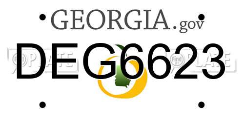 DEG6623 Georgia License Plate