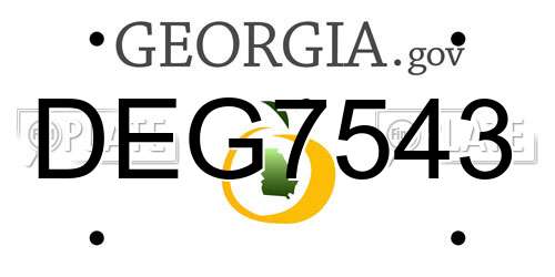 DEG7543 Georgia License Plate