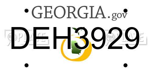 DEH3929 Georgia License Plate
