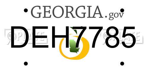 DEH7785 Georgia License Plate