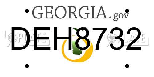 DEH8732 Georgia License Plate