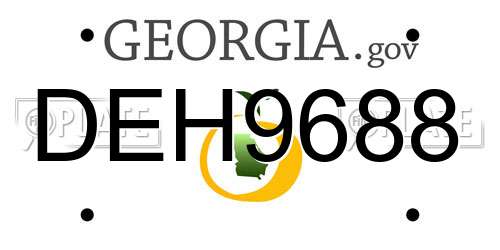 DEH9688 Georgia License Plate
