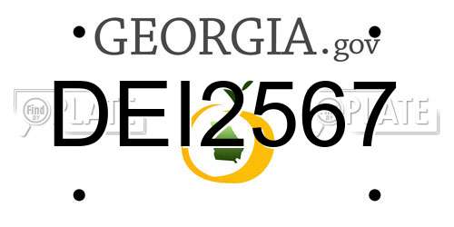 DEI2567 Georgia License Plate
