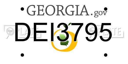 DEI3795 Georgia License Plate