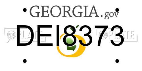 DEI8373 Georgia License Plate