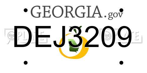 DEJ3209 Georgia License Plate
