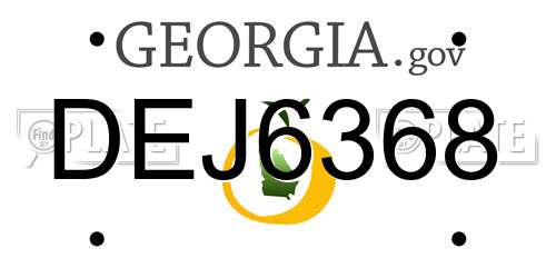 DEJ6368 Georgia License Plate