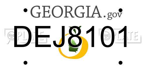 DEJ8101 Georgia License Plate