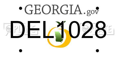 DEL1028 Georgia License Plate
