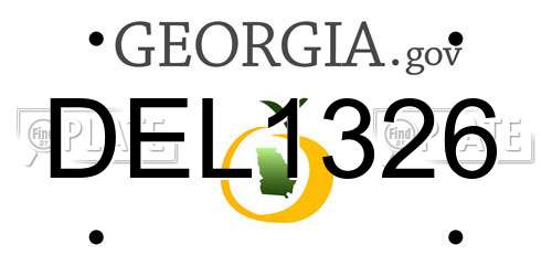 DEL1326 Georgia License Plate
