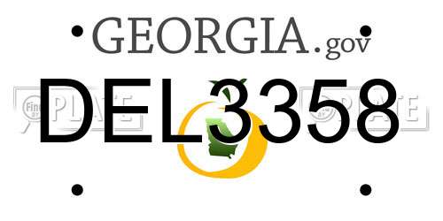 DEL3358 Georgia License Plate