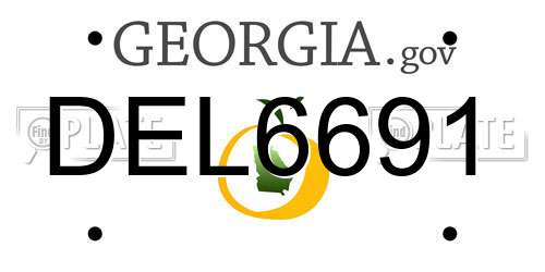DEL6691 Georgia License Plate