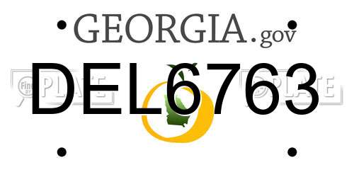 DEL6763 Georgia License Plate