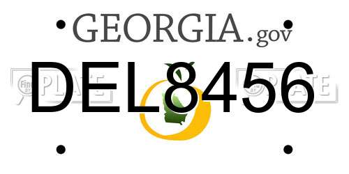 DEL8456 Georgia License Plate