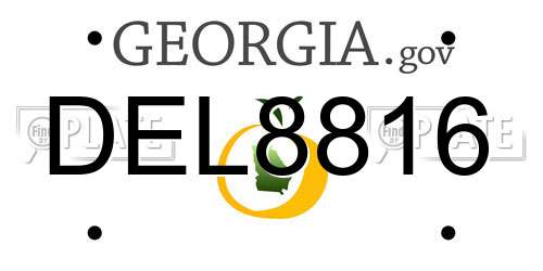 DEL8816 Georgia License Plate