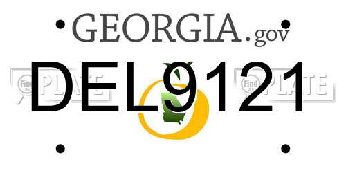 DEL9121 Georgia License Plate
