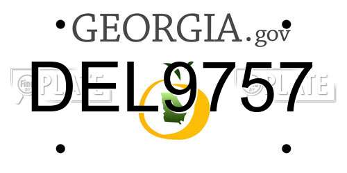 DEL9757 Georgia License Plate