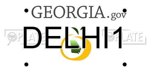 DELHI1 Georgia License Plate