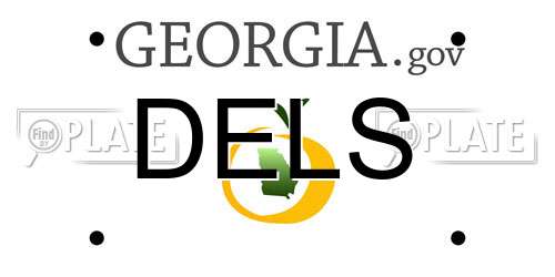 DELS Georgia License Plate