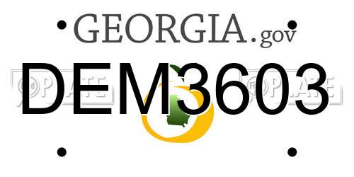DEM3603 Georgia License Plate