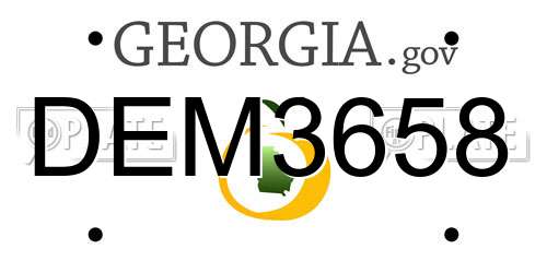 DEM3658 Georgia License Plate
