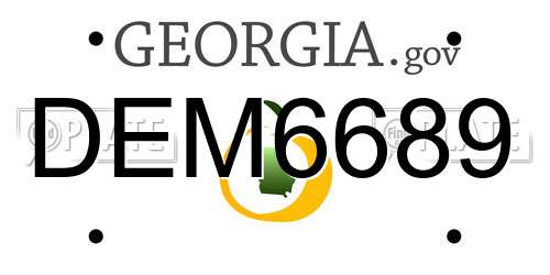 DEM6689 Georgia License Plate