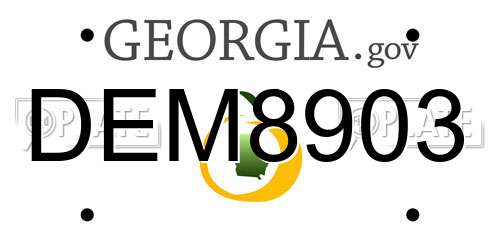 DEM8903 Georgia License Plate